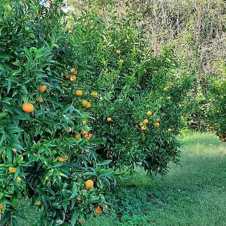 Homestay Sycylia - Approdo Sull'Etna Aci Catena