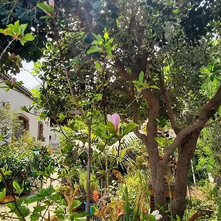 Homestay Sycylia - Approdo Sull'Etna Aci Catena