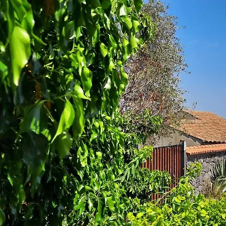 Homestay Sycylia - Approdo Sull'Etna