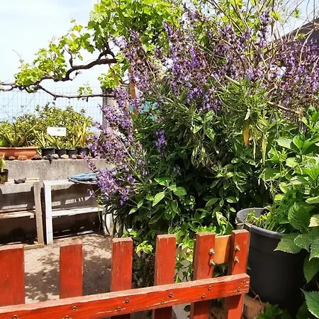 Sycylia - Approdo Sull'Etna Homestay