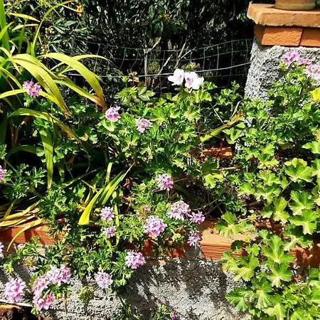 Sycylia - Approdo Sull'Etna Homestay
