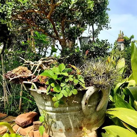 Sycylia - Approdo Sull'Etna Homestay