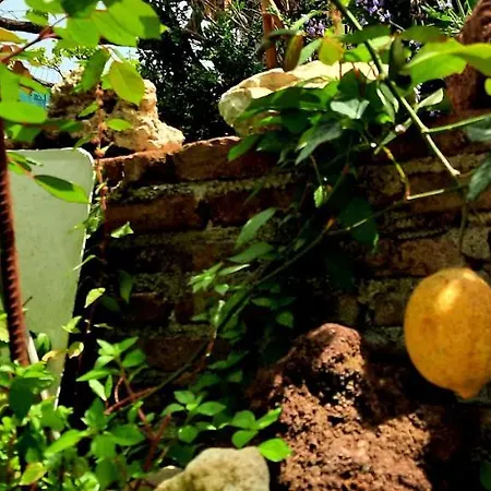 Sycylia - Approdo Sull'Etna Homestay Aci Catena