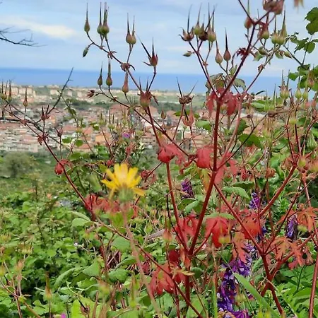 Sycylia - Approdo Sull'Etna * Aci Catena