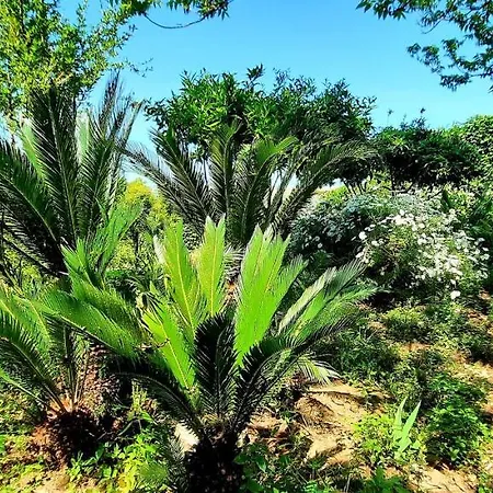 Homestay Sycylia - Approdo Sull'Etna Aci Catena