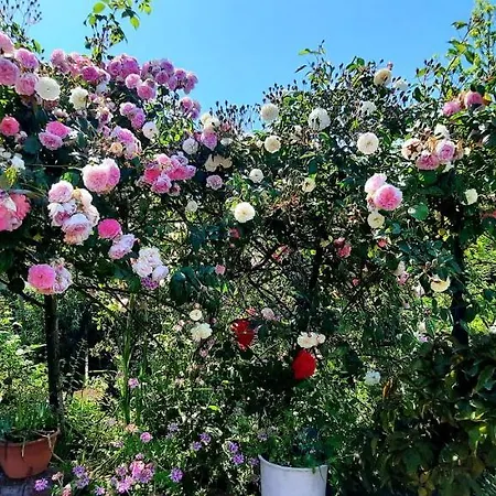 Homestay Sycylia - Approdo Sull'Etna *