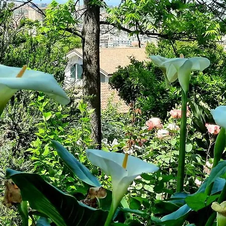 Homestay Sycylia - Approdo Sull'Etna *
