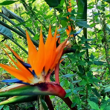 Sycylia - Approdo Sull'Etna Homestay *