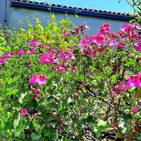 Sycylia - Approdo Sull'Etna Homestay *